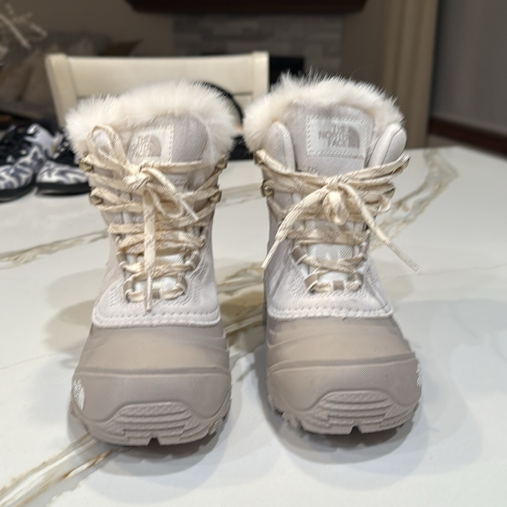 NWOT. The Northface snow books